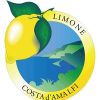 Consorzio di tutela Limone Costa d'Amalfi IGP