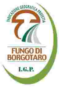 Fungo di Borgotaro
