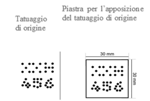 salame brianza